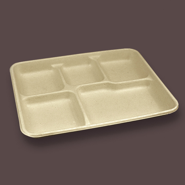 disposable plastic plates with dividers