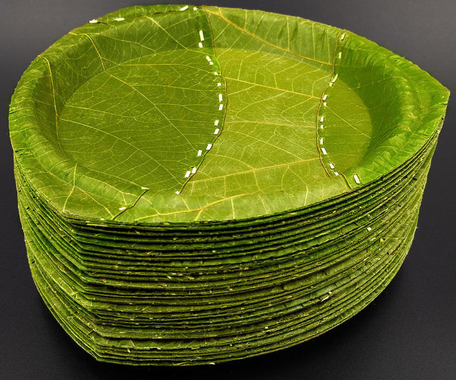 Leaf Plates Disposable. Chic Leaf Compostable & Biodegradable Palm Leaf ...